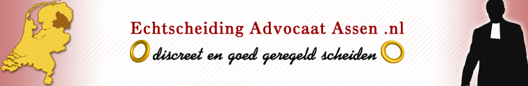 internetechtscheidingsadvocaatassen